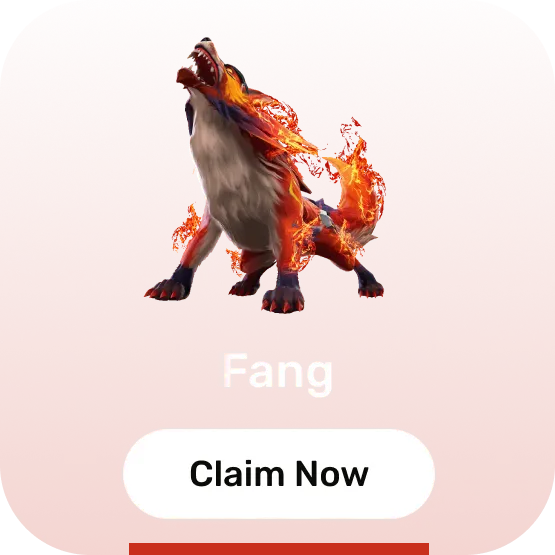 pet_fang